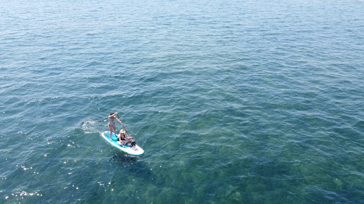 Mar — Paddle surf